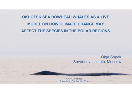 Okhotsk Sea bowhead whales as a live model on how climate change may affect the species in the polar regions: Olga Shpak