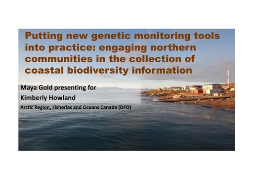 Thematic Implementation: Community-based Monitoring (Priority Actions 2.3 & 3.2): Maya Gold