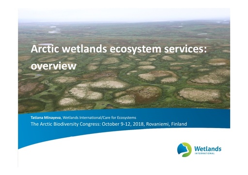 Arctic wetlands ecosystem services overview: Tatiana Minayeva