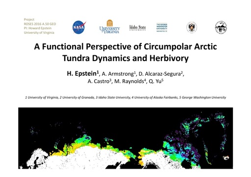 Circumpolar arctic tundra biomass and productivity dynamics in response to projected climate change and herbivory: Howard Epstein