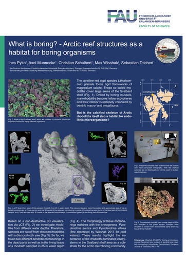 What is boring? - Arctic reef structures as a habitat for boring organisms
