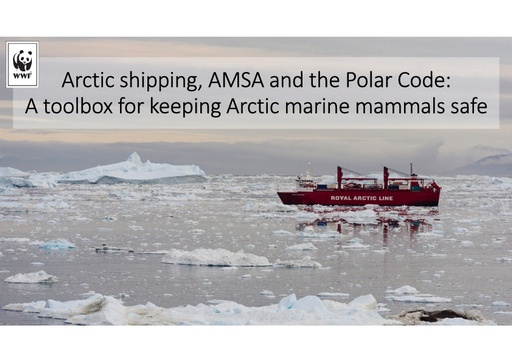 Arctic shipping, AMSA and the Polar Code: a toolbox for keeping Arctic marine mammals safe: Melanie Lancaster