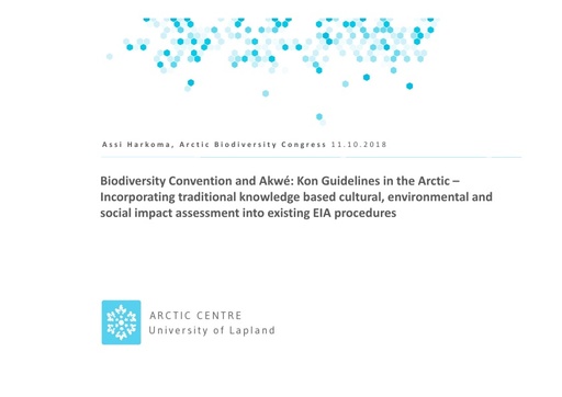 Biodiversity Convention and Akwé: Kon Guidelines in the Arctic – Incorporating traditional knowledge based cultural, environmental and social impact assessment into existing EIA procedures: Assi Harkoma