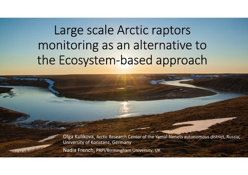 Large scale Arctic raptors monitoring as an alternative to the ecosystem based approach: Olga Kulikova and Nadia French