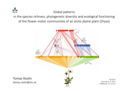 Global patterns in the species richness, phylogenetic diversity and ecological functioning of the flower-visitor communities of an arcto-alpine plant (Dryas): Tomas Roslin