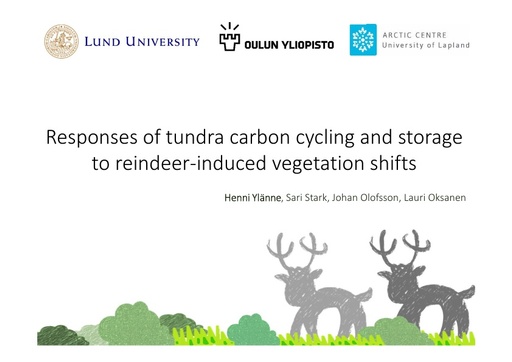 Responses of tundra carbon cycling and storage to reindeer-induced vegetation transition: Henni Ylänne