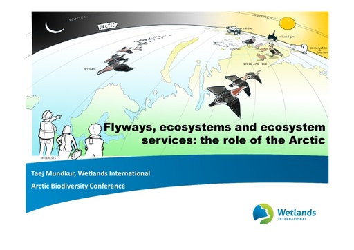 Flyways, ecosystems and ecosystem services: the role of the Arctic: Taej Mundkur