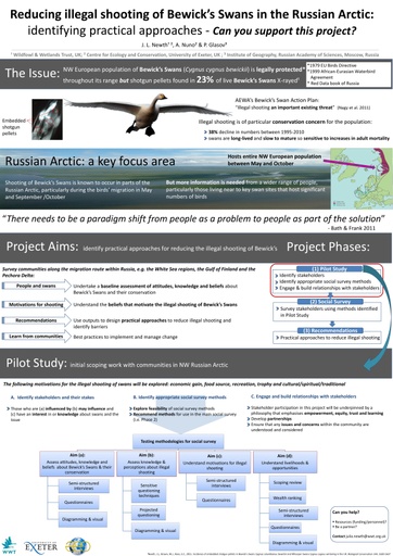 Reducing illegal shooting of Bewick’s Swans in the Russian Arctic: identifying practical approaches