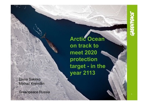 Arctic Ocean on track to meet 2020 protection target - in the year 2113: Elena Sakirko