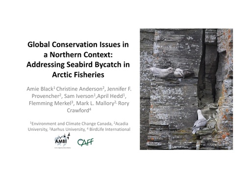 Global Conservation Issues in a Northern Context: Addressing Seabird Bycatch in Arctic Fisheries: Amie Black