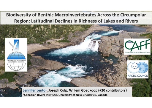 Biodiversity of benthic macroinvertebrates across the circumpolar region: evidence of latitudinal declines in richness in Arctic rivers and lakes: Jennifer Lento
