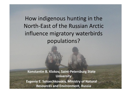 How aboriginal hunting in the Northeast of the Russian Arctic influences migratory waterbird population? Konstantin Klokov