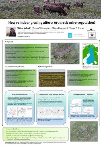 How reindeer grazing affects oroarctic fen vegetation?