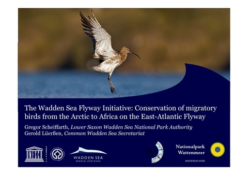 The Wadden Sea Flyway Initiative for connecting and inspiring people: Conservation of migratory birds from the Arctic to Africa on the East-Atlantic Flyway: Gregor Scheiffarth