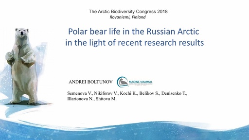Polar bear life in the Russian Arctic in the light of recent research results: Andrei Boltunov