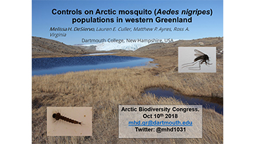 Controls on Arctic mosquito (Aedes nigripes) populations in western Greenland: Melissa H. Desiervo