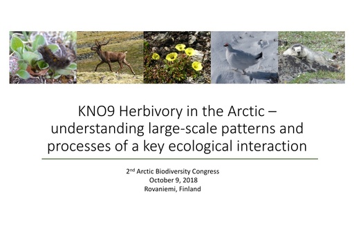 KNO9: Herbivory in the Arctic – understanding large-scale patterns and processes of a key ecological interaction