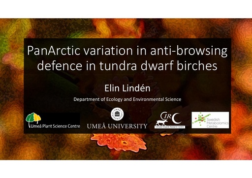 PanArctic variation in anti-browsing defense in tundra dwarf birches: Elin Lindén