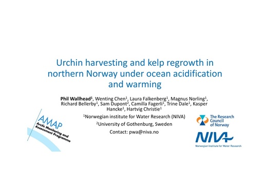 Socioeconomic effects of ocean acidification in northern Norway: A kelp-urchin case study: Philip Wallhead