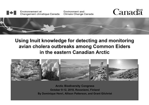 Using Inuit traditional ecological knowledge for detecting and monitoring avian cholera among common eiders in the eastern Canadian Arctic: Allison Patterson