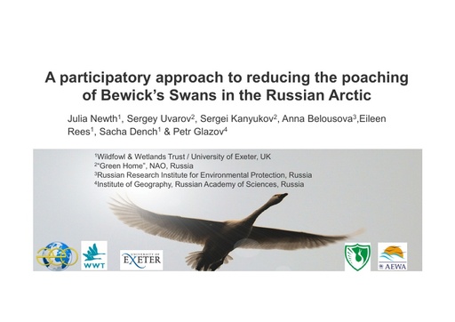 A participatory approach to reducing the poaching of Bewick’s swans in the Russian Arctic: Julia Newth