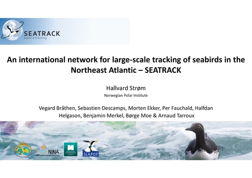 An international network for large-scale tracking of seabirds in the Northeast Atlantic – SEATRACK: Hallvard Strøm