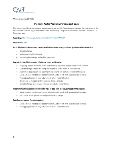 Memo PlenaryPanel YouthSummit Report