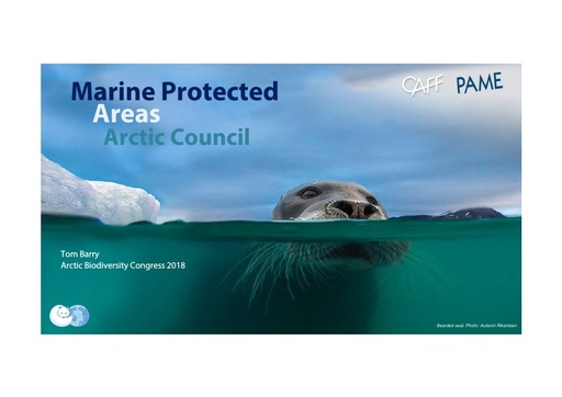 Arctic Council work to support a pan-Arctic MPA network (background on PAME & CAFF work): Tom Barry